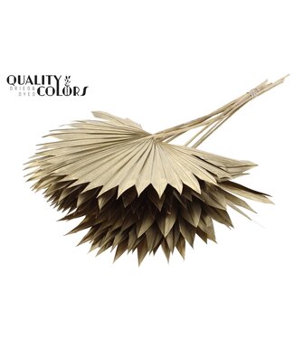 QC Gedrood Palmblad | Palm Sun Spear Antiek goudkleurig | Per 50 stuks