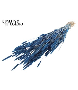 QC Polypogon per bunch Dark Blue ( x 6 )