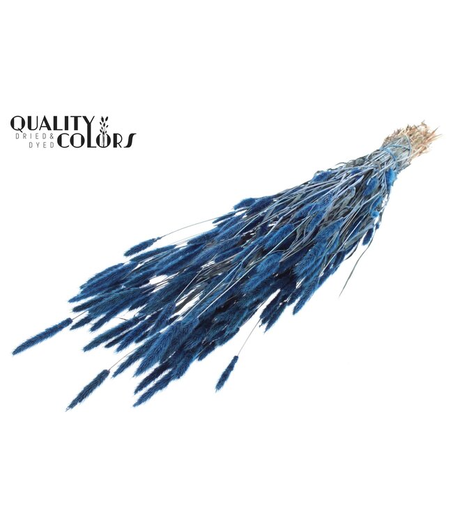 Polypogon per bunch Dark Blue ( x 6 )