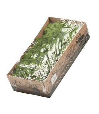 LDD Reindeer moss preserved moss green ( x 6 )