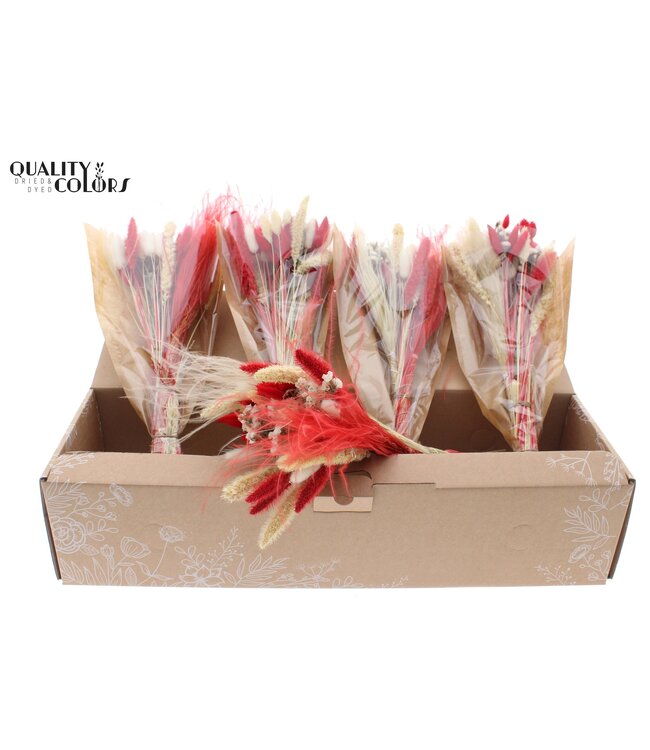 Dried BQT-Intense Red ( x 5 )