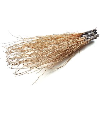 QC Birch 70cm 10stems per bunch Antique Gold + Glitter ( x 10 )