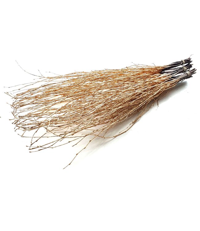 Birch 70cm 10stems per bunch Antique Gold + Glitter ( x 10 )