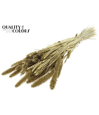 QC Dried Flower mix bunch Gold + Glitter ( x 6 )