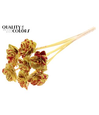 QC Beetal Rose 6cm on stem Splashed Red/Yellow ( x 50 )
