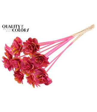 QC Beetal Rose 6cm on stem Splashed Cerise/Yellow ( x 50 )
