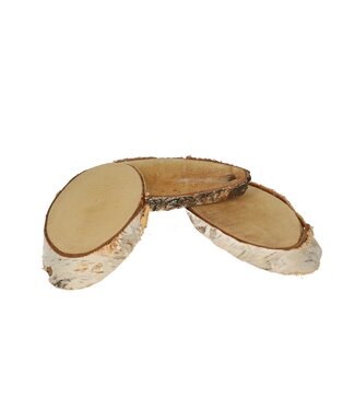 4A Disque de bouleau en bois séché naturel | Dimensions 20 x 11 centimètres | Par lot de 3 pièces