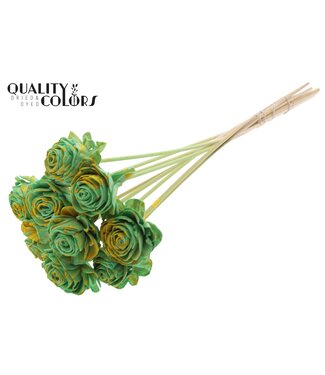 QC Shola Beauty Rose 6cm on stem Splashed Mint/Yellow ( x 50 )