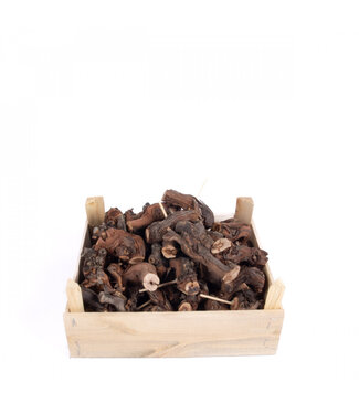 4A Bois de vigne séché naturellement | Diamètre 8-10 centimètres | Par 40 pièces