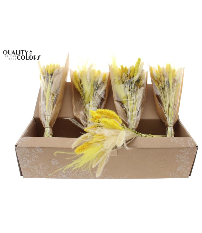 Dried BQT-Intense Yellow ( x 5 )
