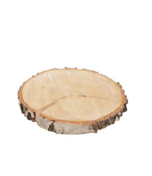 Disque en bois de bouleau séché naturellement | Diamètre 21 centimètres | Commandable par lot de 10 pièces