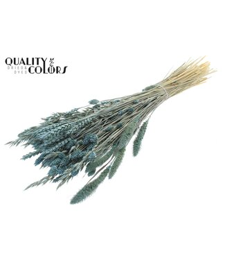QC Dried Flower mix bunch Frosted Light Blue ( x 6 )