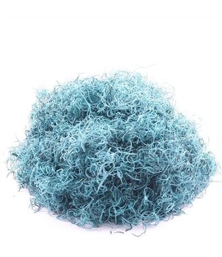 AD Tillandsia Grof Gepreserveerd Turquoise ( x 1 )