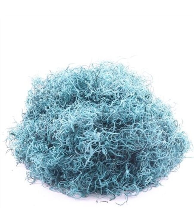 Tillandsia Grof Gepreserveerd Turquoise ( x 1 )