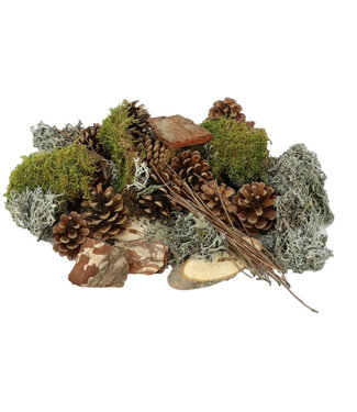 4A Droogdeco Mix forrest 500g ( x 1 )