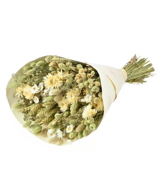 LDD Bouquet de fleurs séchées "Large Anita" | Longueur 55 centimètres | Par 4 bouquets
