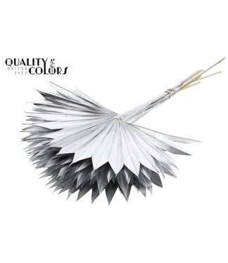 QC Getrocknetes Palmblatt | Palm Sun Spear Silberfarben | Pro 50 Stück