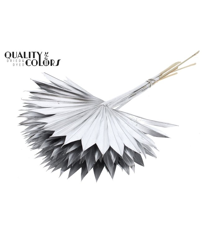 Gedrood Palmblad | Palm Sun Spear Zilverkleurig | Per 50 stuks te bestellen
