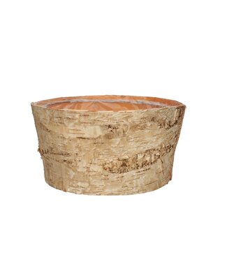 4A Cache-pot en bois de bouleau naturel | Dimensions 24 x 12 centimètres | Par 10 pièces