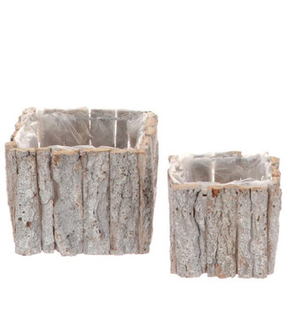 4A Jardinière en écorce de bois naturelle | Dimensions 15 x 12 centimètres | Par lot de 2 pièces