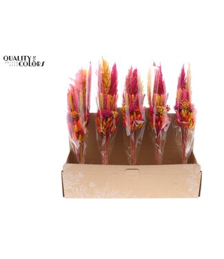 QC Layered BQT Colourful 10 ( x 5 )