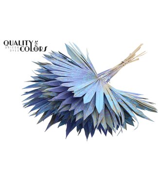QC Feuille de palmier séchée | Mélange de lances de palmier bleu clair | Par 50 pièces