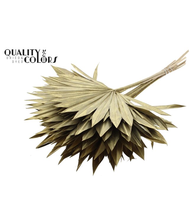 Gedrood Palmblad | Palm Sun Spear Goudkleurig | Per 50 stuks te bestellen