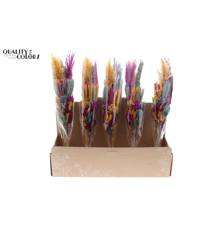 Layered BQT Apricot Dreams ( x 5 )