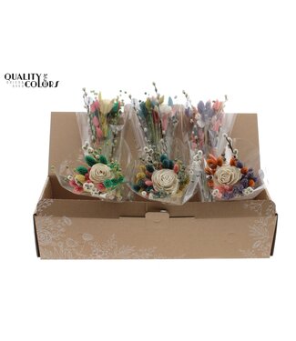 QC Spring BQT Assorted | Per 6 stuks