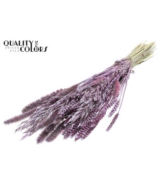 QC Dried Flower mix bunch Metallic Pink + Glitter ( x 6 )