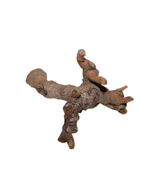 4A Natural Brown Dried Kuwa Root Deco | Length 25–30 centimetres | Per piece