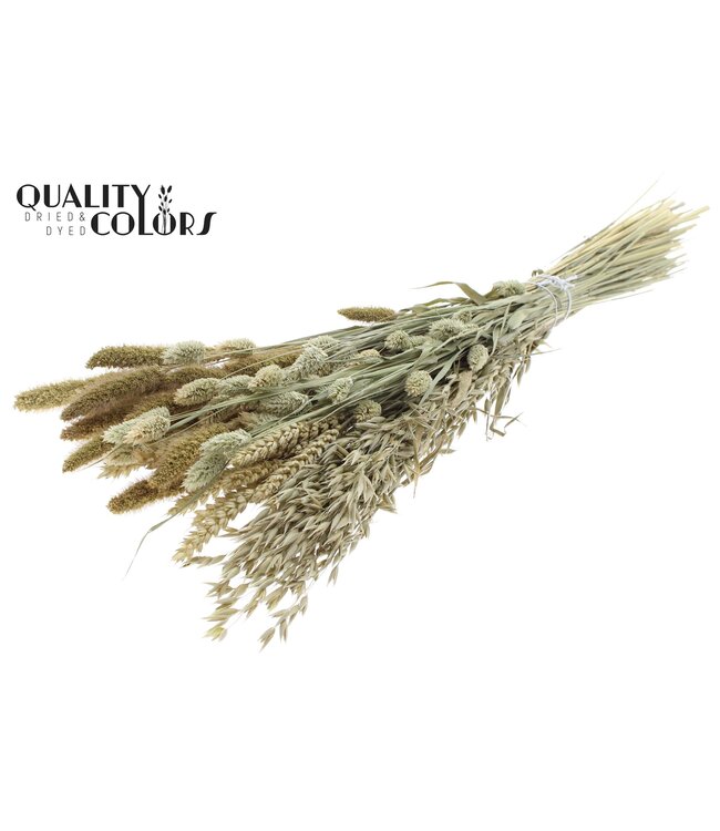 Dried Flower mix bunch Natural ( x 6 )