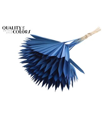 QC Gedrood Palmblad | Palm Sun Spear Blauw | Per 50 stuks