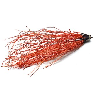 QC Birch 70cm 10stems per bunch Orange ( x 10 )