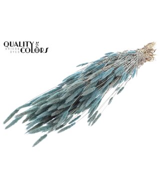 QC Polypogon per bunch Frosted Light Blue ( x 6 )