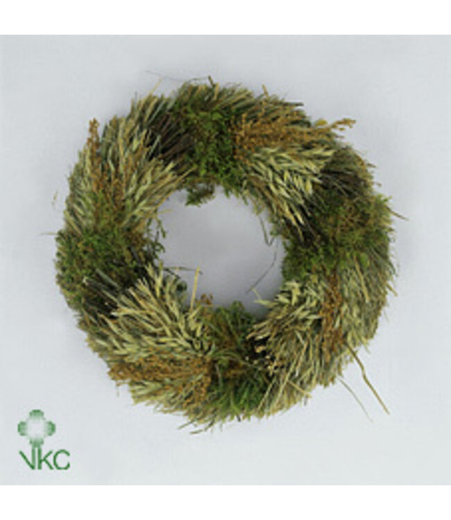 Ring Lappenmos/bonsaihout ( x 3 )
