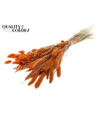 QC Dried Flower mix bunch Orange ( x 6 )