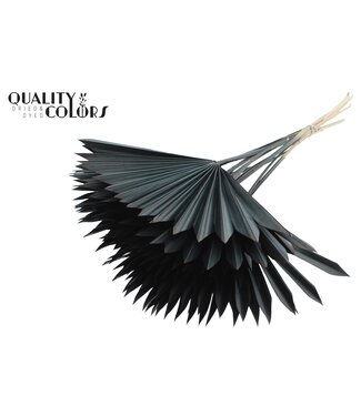 QC Feuille de Palmier Séchée | Lance de Soleil Palmier Noire | Par 50 pièces