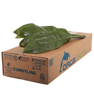 AD Cord. Green Tie Orca ( x 30 )