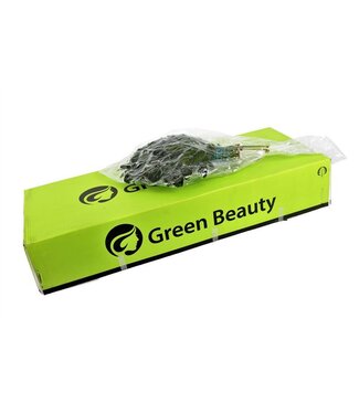 AD Aralia Vacuüm Gr. Beauty ( x 1 )