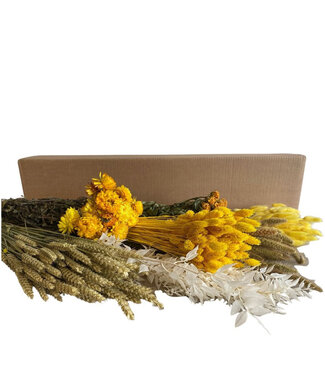 4A Droogbloem DIY box assorti 65-75cm ( x 7 )