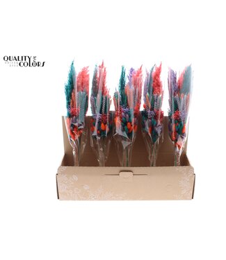 QC Layered BQT Colourful 4 ( x 5 )