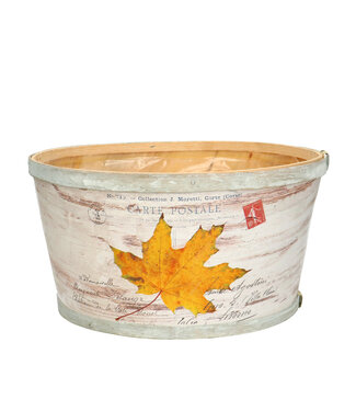 4A Pot de fleurs en bois naturel Leaf | Diamètre 22 x 11 centimètres | Par 10 pièces