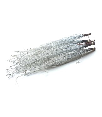QC Birch 70cm 10stems per bunch White ( x 10 )