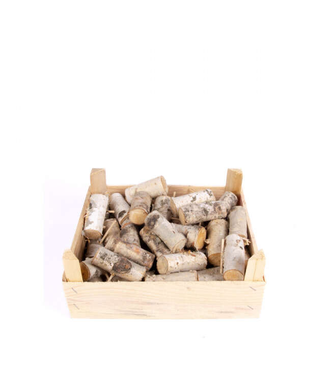 Droogdeco Berkenhout 8-10cm ( x 40 )