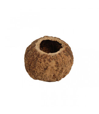 4A Droogdeco Coco Ourico d10cm ( x 1 )