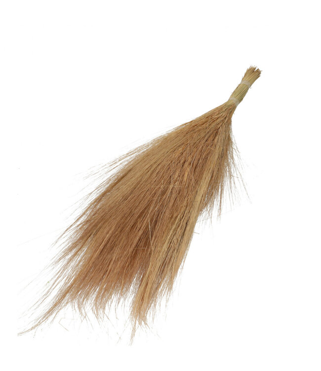 Dried Goat Grass | Dried grasses | Length 65-70 centimetres | Available per bunch