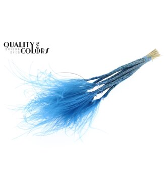QC Stypha Penata 10 tufts per bunch Dark Blue ( x 10 )