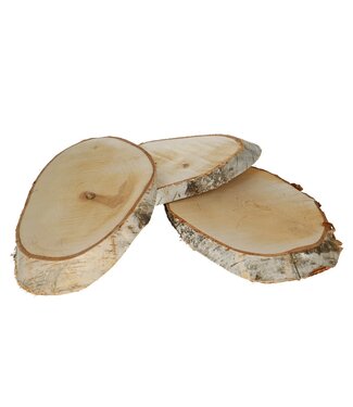 4A Droogdeco Houtschijf berk d34*20cm ( x 3 )