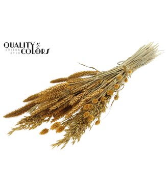 QC Dried Flower mix bunch Apricot ( x 6 )